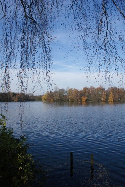 Unterbacher See im Spätherbst