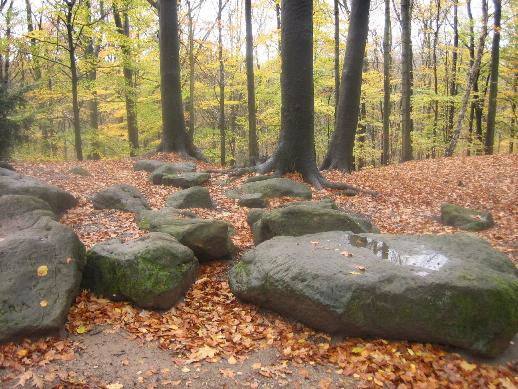 Die Frauensteine im Aaperwald