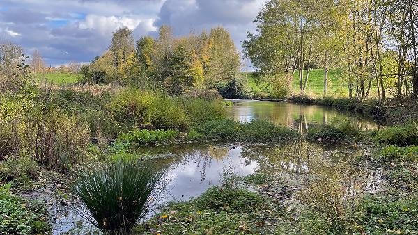 An der renaturierten Erft, Bild: Erftverband
